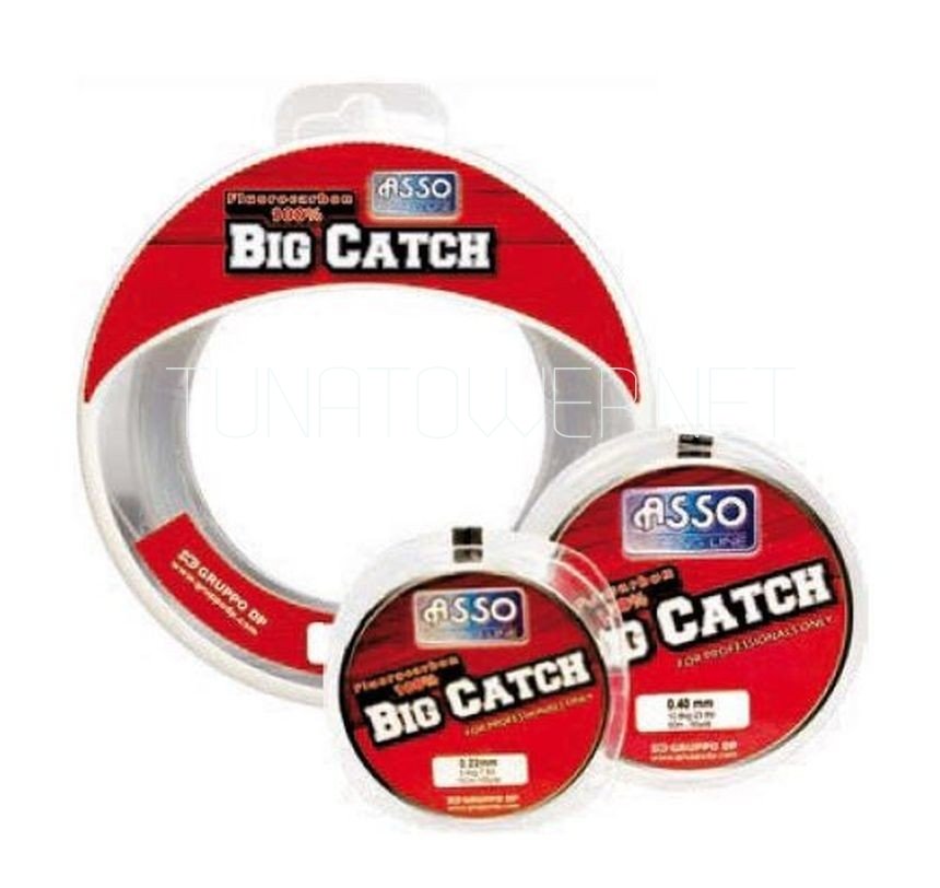 Asso - BIG CATCH lb 50/60/80 Yds.50