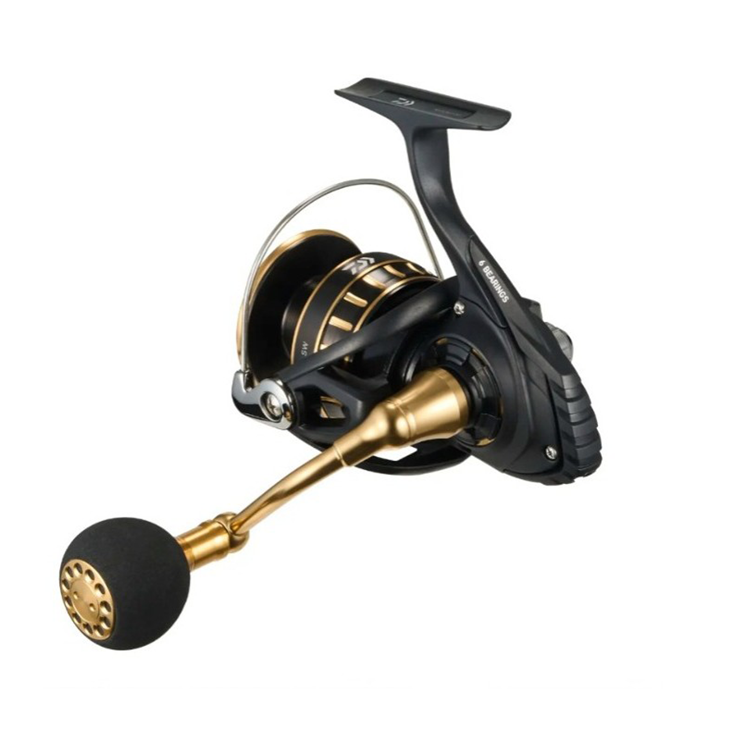 Daiwa BG SW 4000/6000