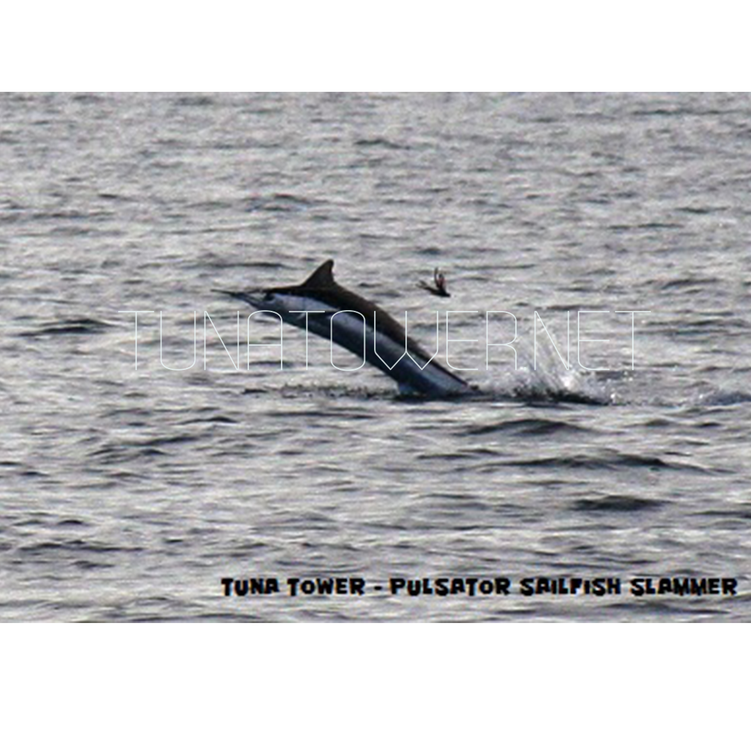 Pulsator - Sailfish Slammer SFS/VS