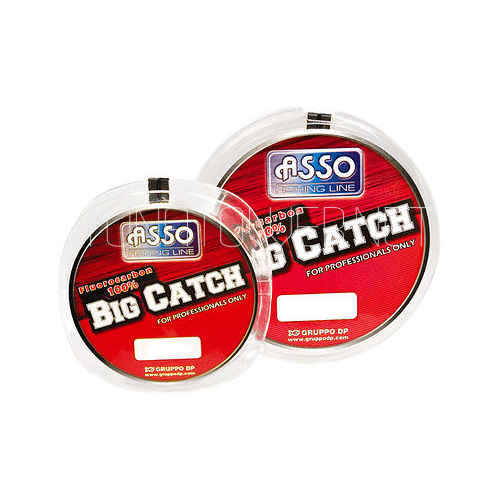 Asso - Big Catch  Lb 50/60/80 Yds.50