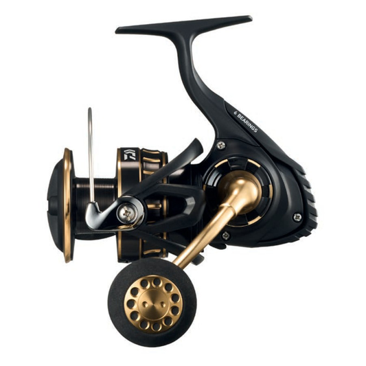 Daiwa BG SW 4000/6000
